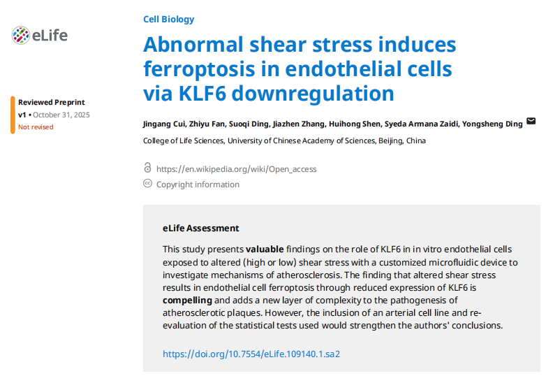 生命科学学院教授丁永胜团队揭示